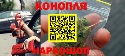 прущие грибы Кимры